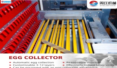 Wie automatische Eiersammelsysteme die Hygiene auf dem Bauernhof und die Eierqualit&auml;t verbessern