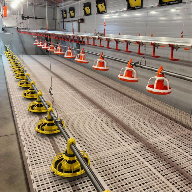 Оборудование для клеток для бройлеров