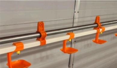 Awtomatikong Drinking System Worth The Investment?