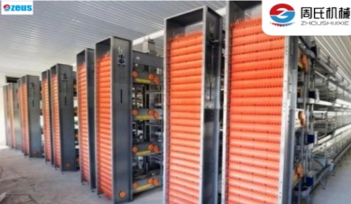 Semakin Populernya Sistem Pengumpulan Telur Otomatis di Peternakan Unggas