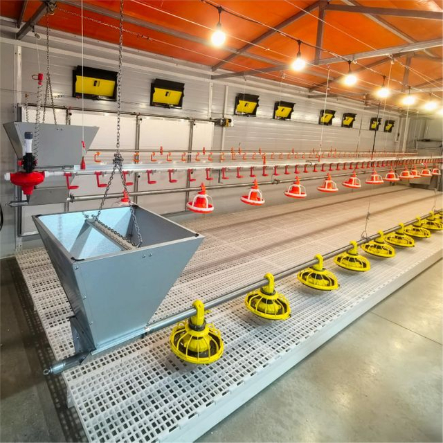 kagamitan sa sistema ng pagpaparami ng broiler gound