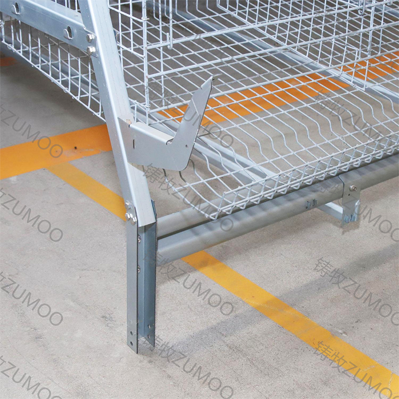 Mga Iniangkop na Solusyon para sa Iyong Bukid: Customized Poulay at Layer Cages