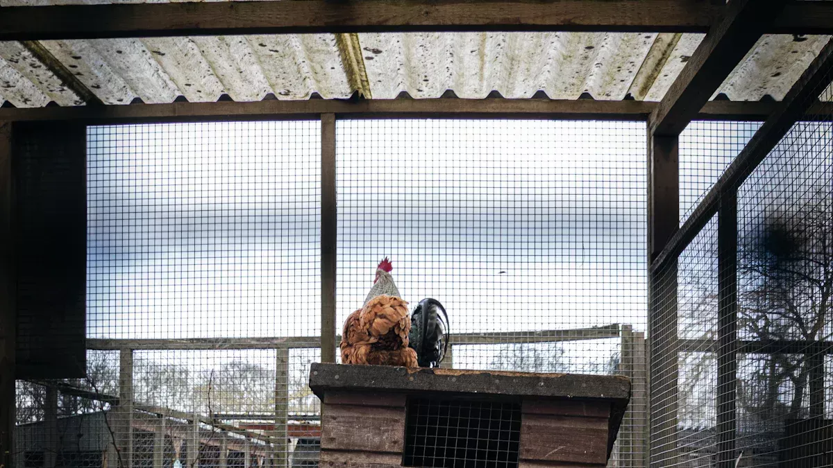 Ist es besser, einen H&uuml;hnerstall zu kaufen oder zu bauen?