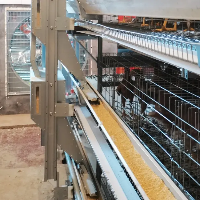 최신 배터리 케이지를 사용하여 나이지리아에서 수익성 있는 가금류 사업을 시작하는 방법